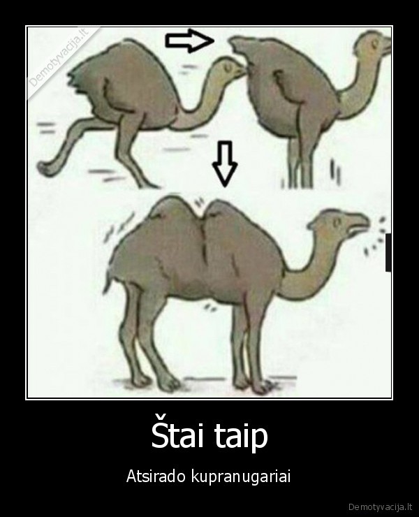 kupranugaris,strutis