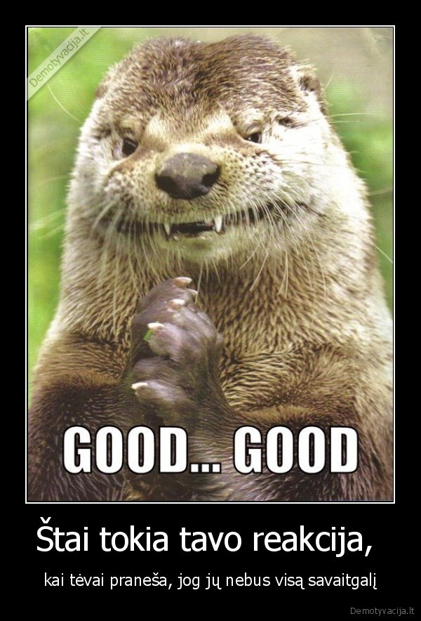 party, all, day, long