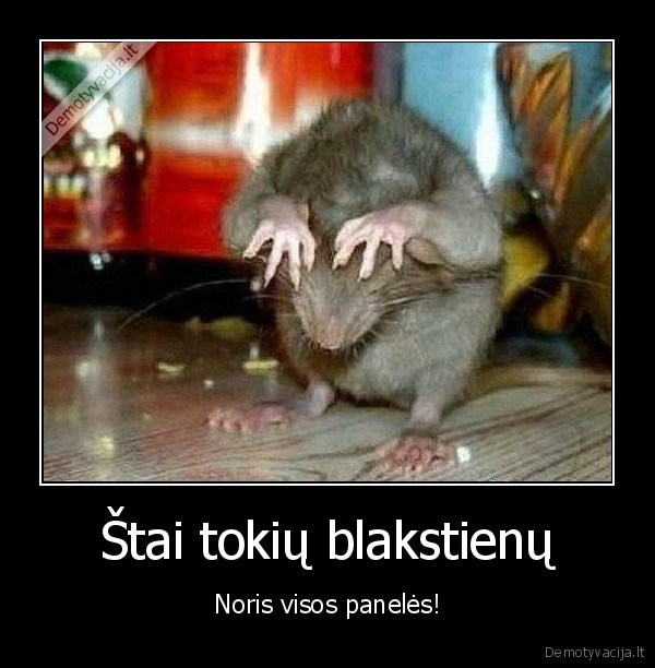 blakstienos,ilgos,paneles