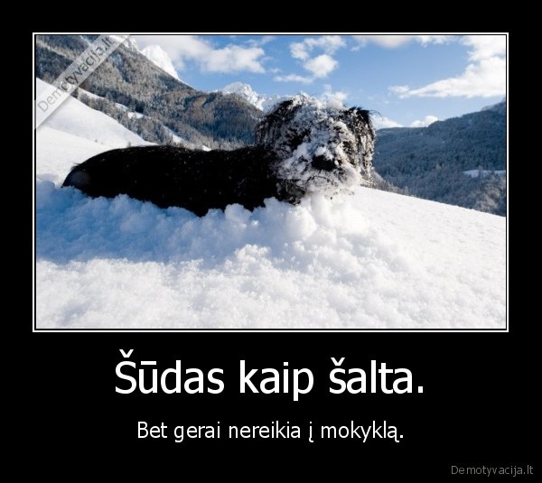 nereikia, i, mokykla