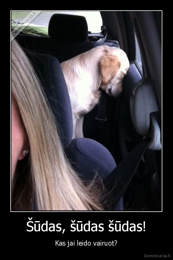 moteris, uz, vairo,suo, masinoj