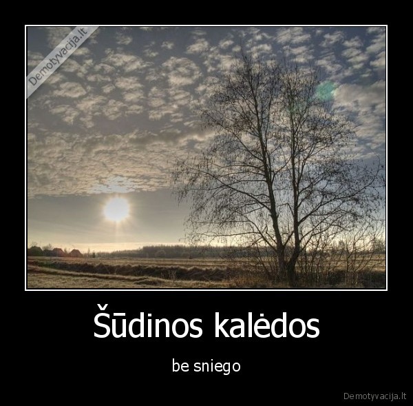 kaledos,sniegas
