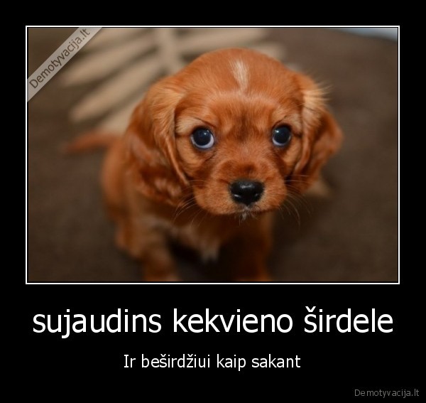 sujaudins kekvieno širdele