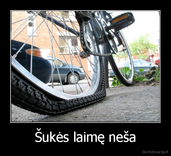 Šukės laimę neša