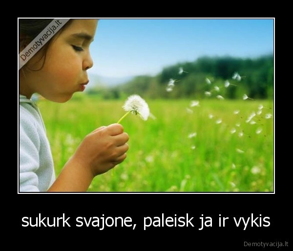 sukurk svajone, paleisk ja ir vykis