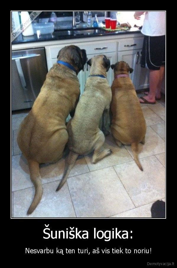 Šuniška logika: