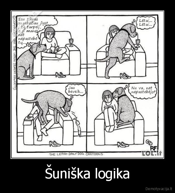 sunys,sunu, logika,juokingas, suo