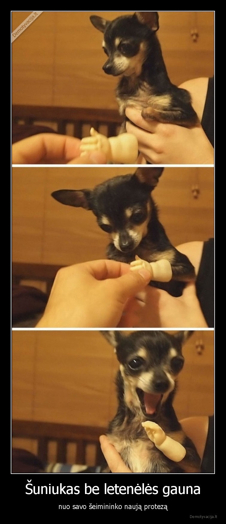 suniukas,protezas,laime,letenele