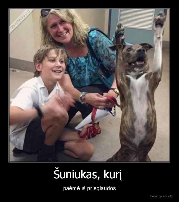 suo,laime,prieglauda,seima