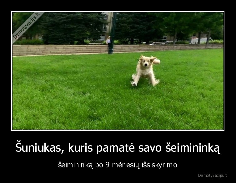 suo,geriausias,draugas,pasiilgo