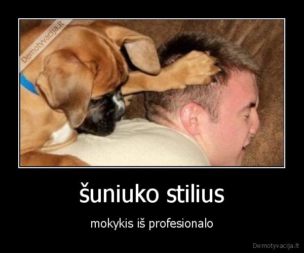 šuniuko stilius