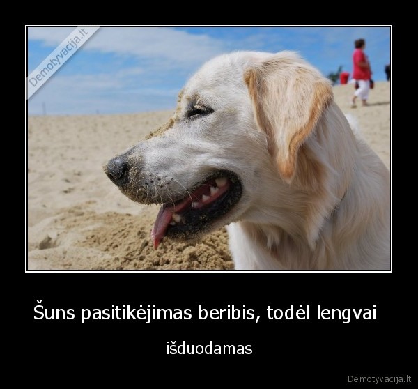 Šuns pasitikėjimas beribis, todėl lengvai 