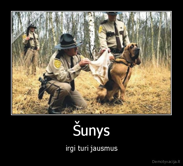Šunys
