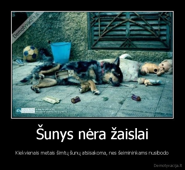 Šunys nėra žaislai