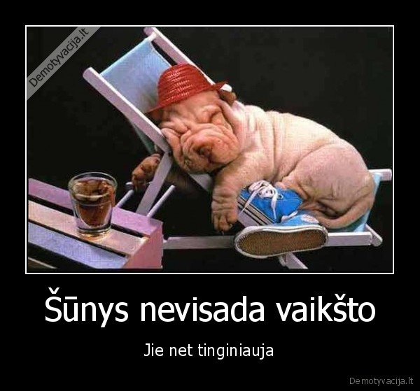 Šūnys nevisada vaikšto