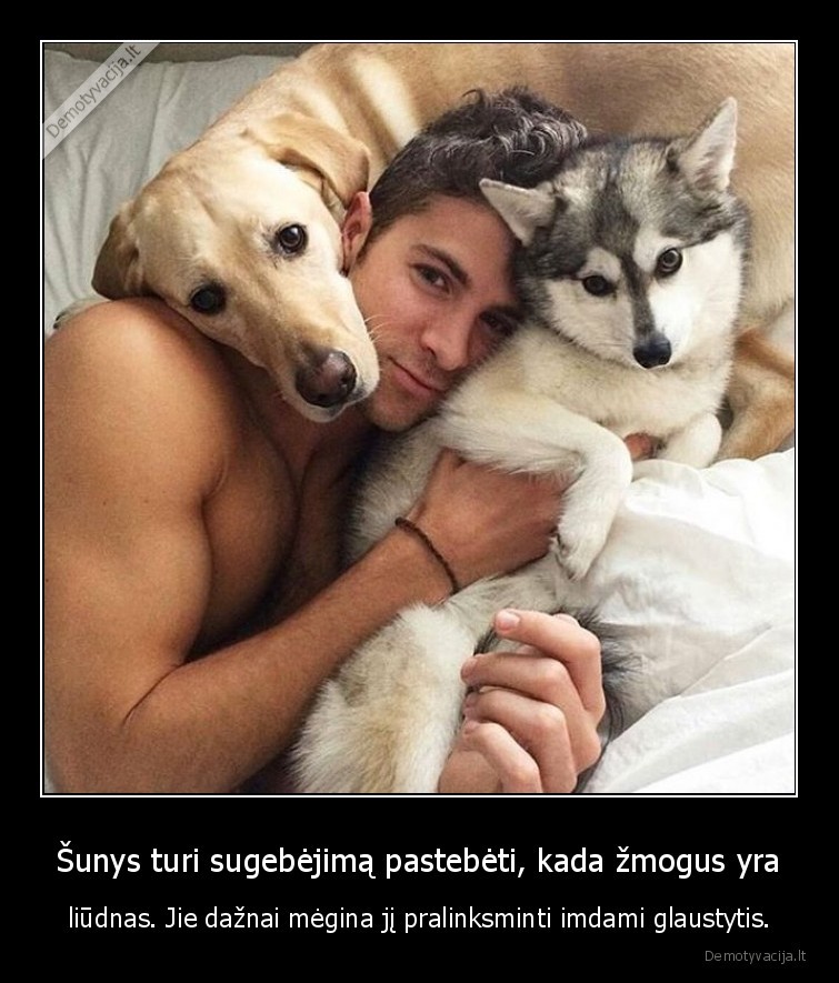 sunys,gebejimai,faktai,idomybes,liudnas