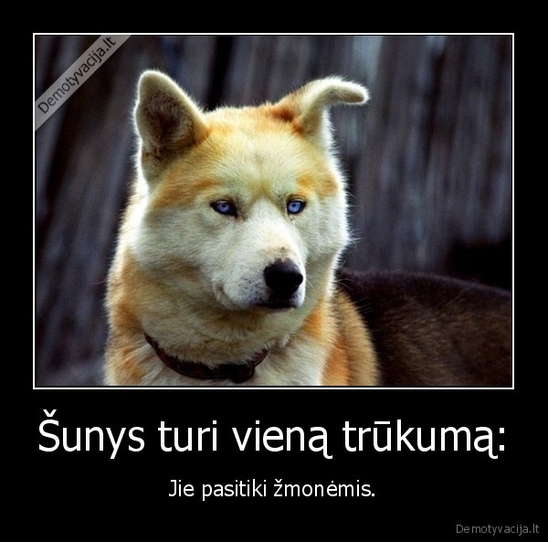Šunys turi vieną trūkumą: