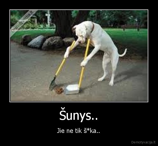 Šunys..