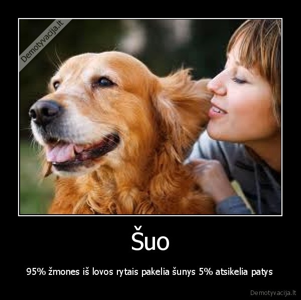 sou, zmogus, procentai, rytas, lova