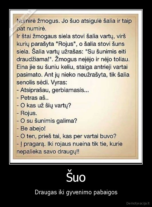 geriausias, draugas,tikras, draugas,suo