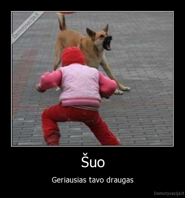 suo, gyvunai, vaikai, pavojus