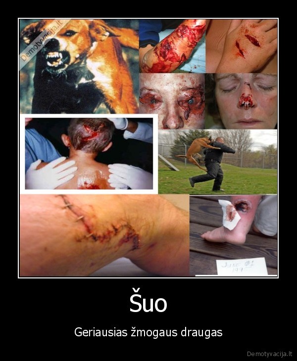 suo,tikra, demo,geriausias,zmogaus,draugas