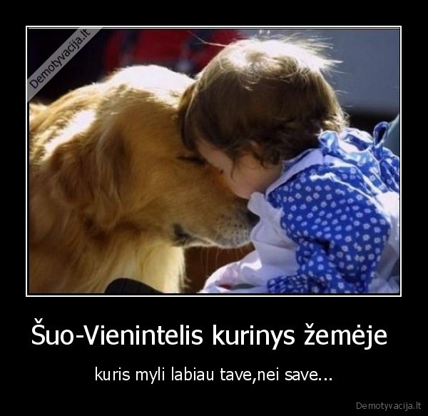 Šuo-Vienintelis kurinys žemėje 