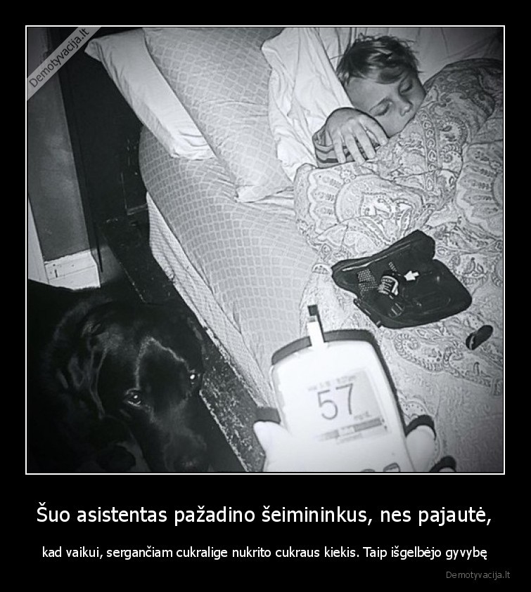 suo,asistentas,cukralige