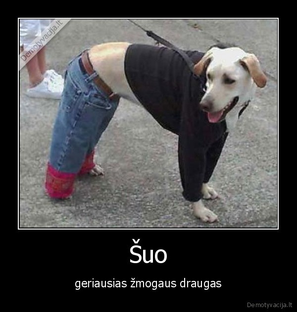 suo,draugas