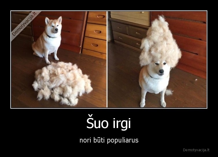 suo,sukuosena,plaukai