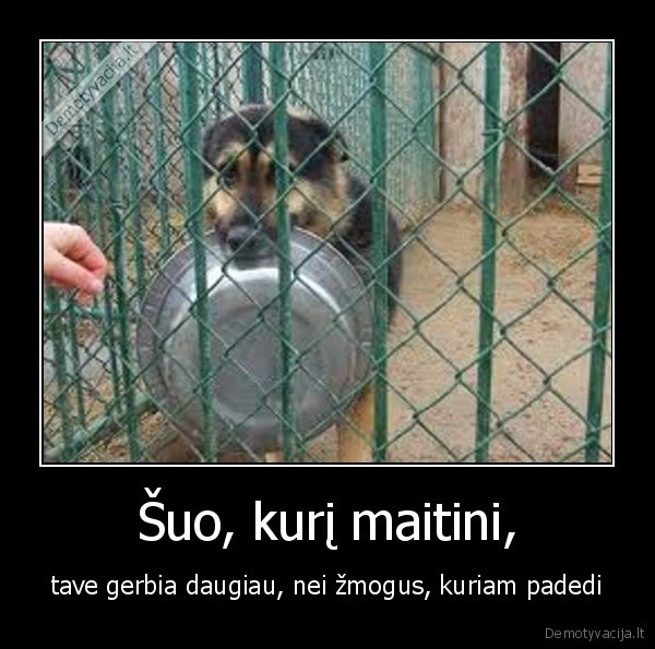 Šuo, kurį maitini,