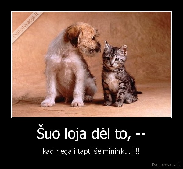 Šuo loja dėl to, --