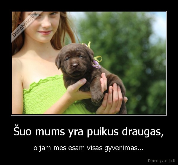 sunys,draugas,visas,gyvenimas