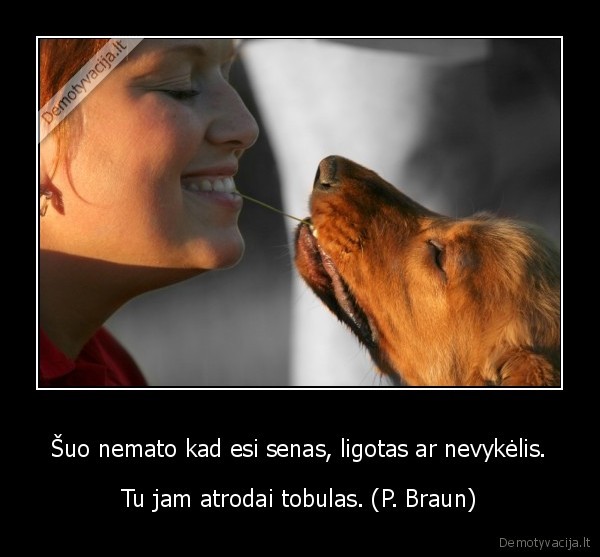 Šuo nemato kad esi senas, ligotas ar nevykėlis.