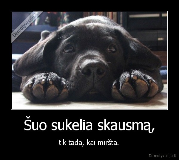 Šuo sukelia skausmą,