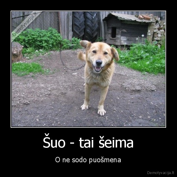 suo,priristas, prie, budos