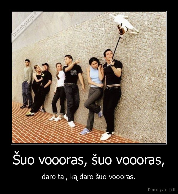 suo, voras,kiaule, voras,suo