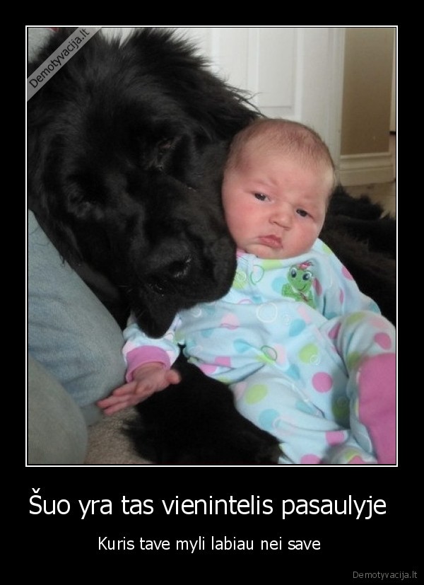 Šuo yra tas vienintelis pasaulyje 