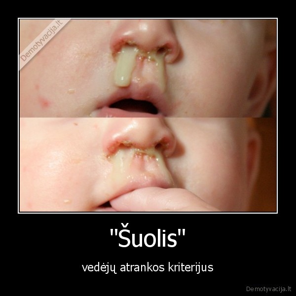 suolis,indre,snarglys