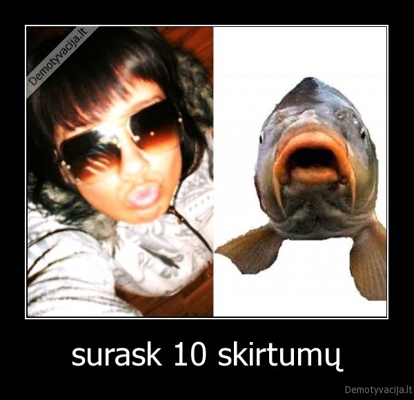 surask 10 skirtumų