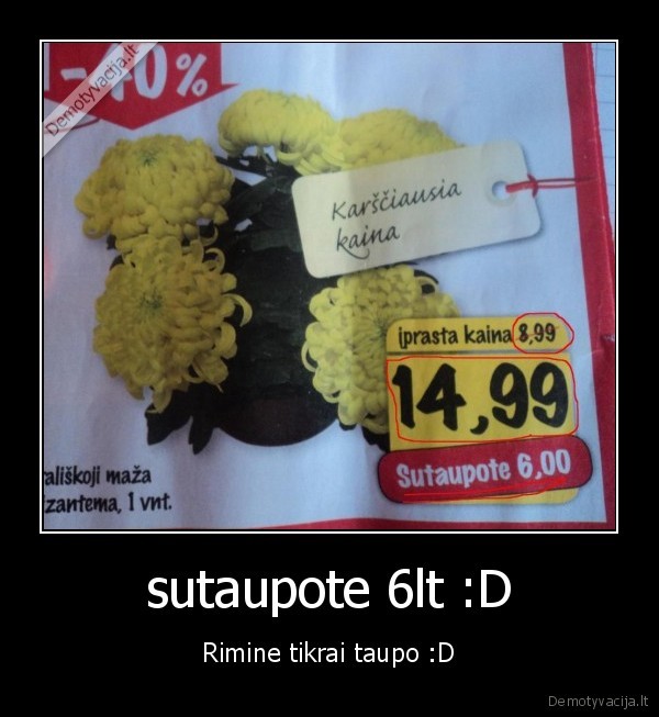 sutaupote 6lt :D