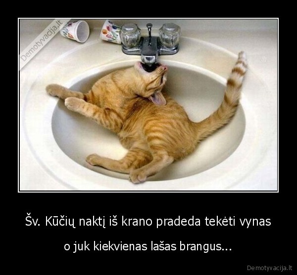 Šv. Kūčių naktį iš krano pradeda tekėti vynas