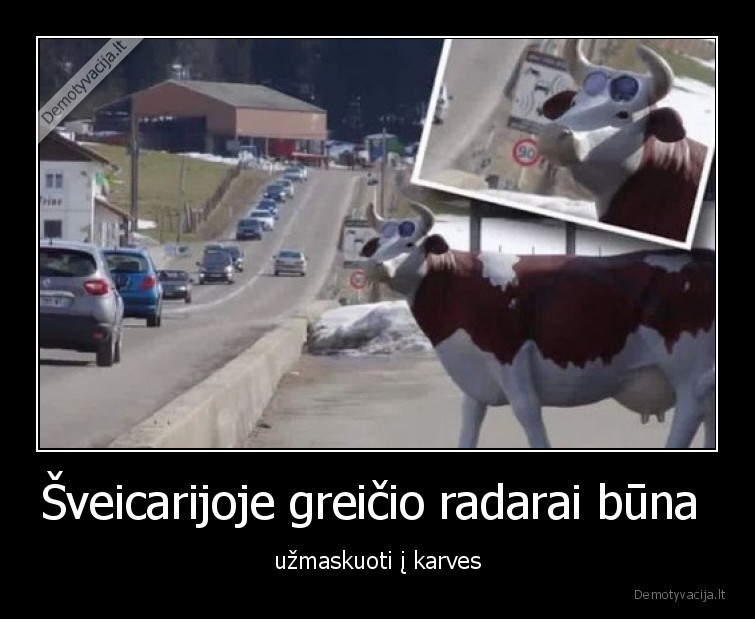 sveicarija,karves,greicio