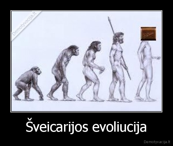 sveicarija,evoliucija,sololadas