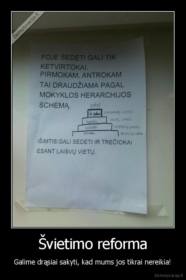 svietimo, sistema,ketvirtokai,mokyklos, hierarchija,ismintis,herarchijos, schema