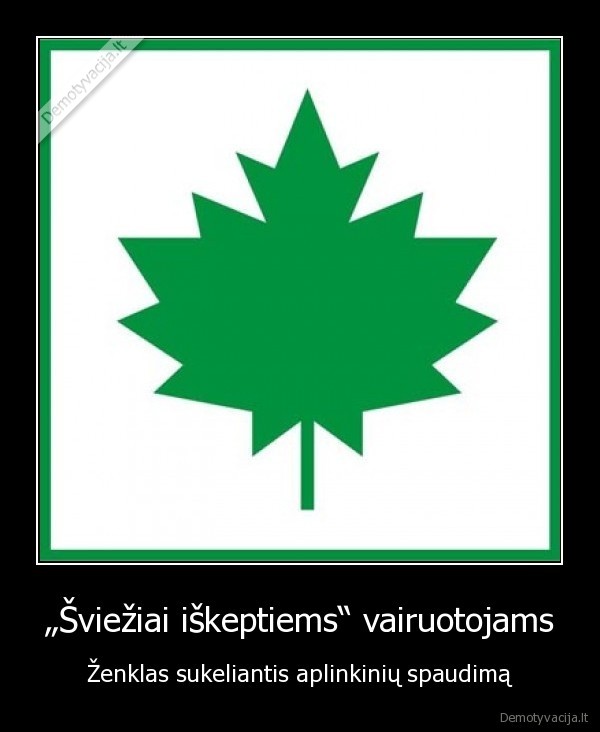 „Šviežiai iškeptiems“ vairuotojams