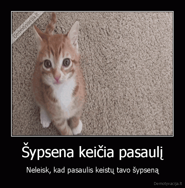 sypsena,sypsosi,katinas