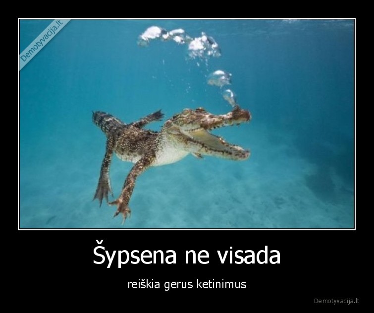 sypsena,krokodilas,geras,ketinimai