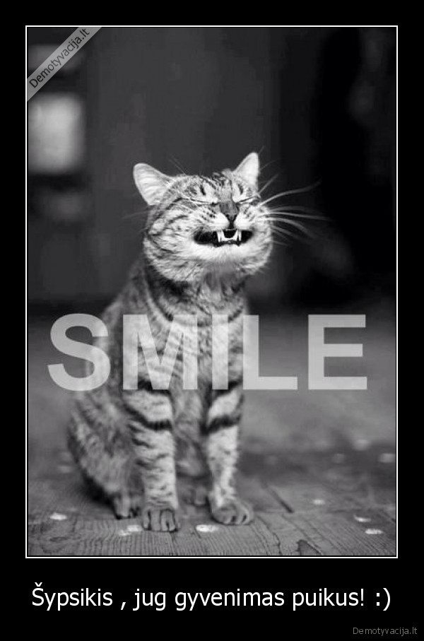 Šypsikis , jug gyvenimas puikus! :)