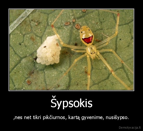 sypsena,acid, house,smiley, face